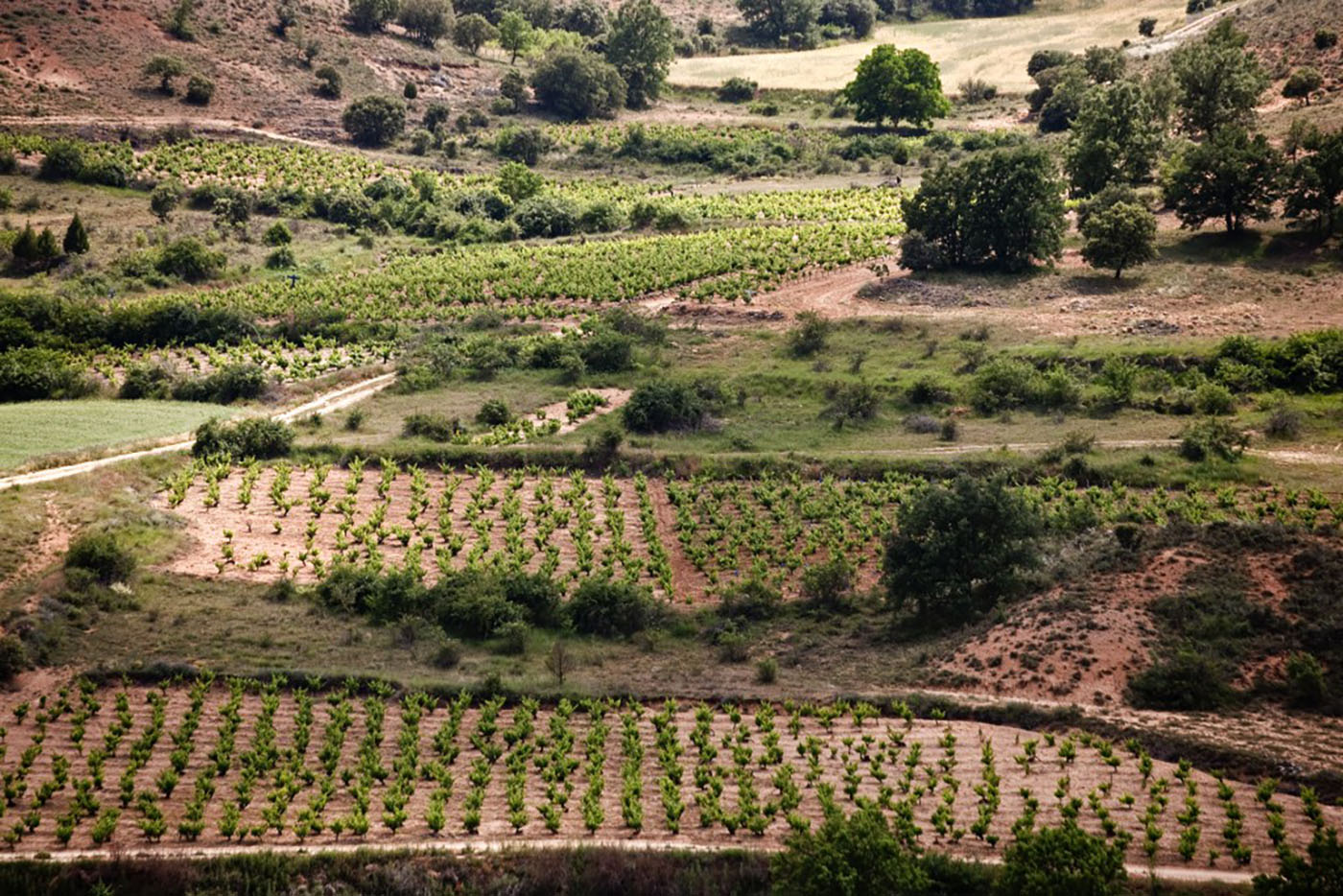 Bodegas que desafían tus sentidos