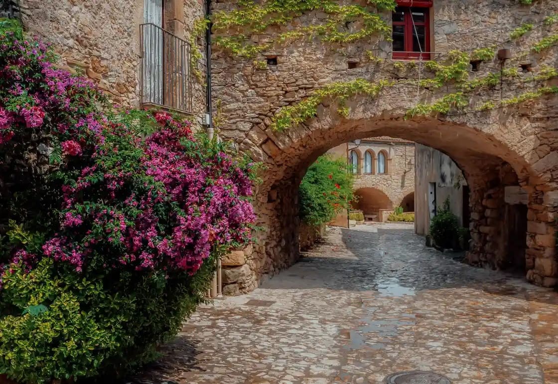 Absorbe la cultura y expande tu riqueza