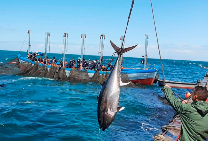 Disfruta de manjares auténticos