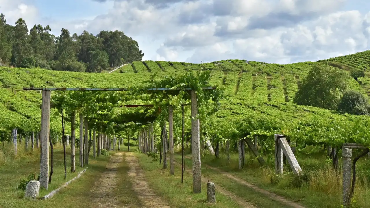 Disfruta de manjares auténticos