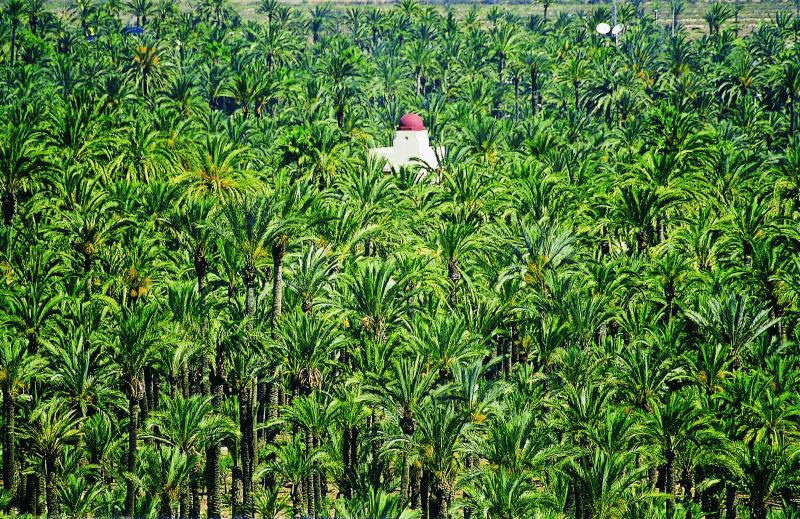 Absorbe la cultura y expande tu riqueza