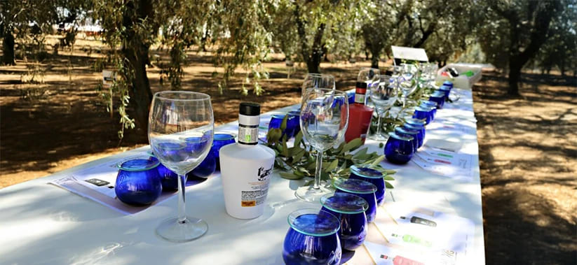 Planes Kerencias - Cata de aceite