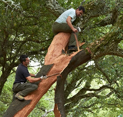 Vivencias solidarias