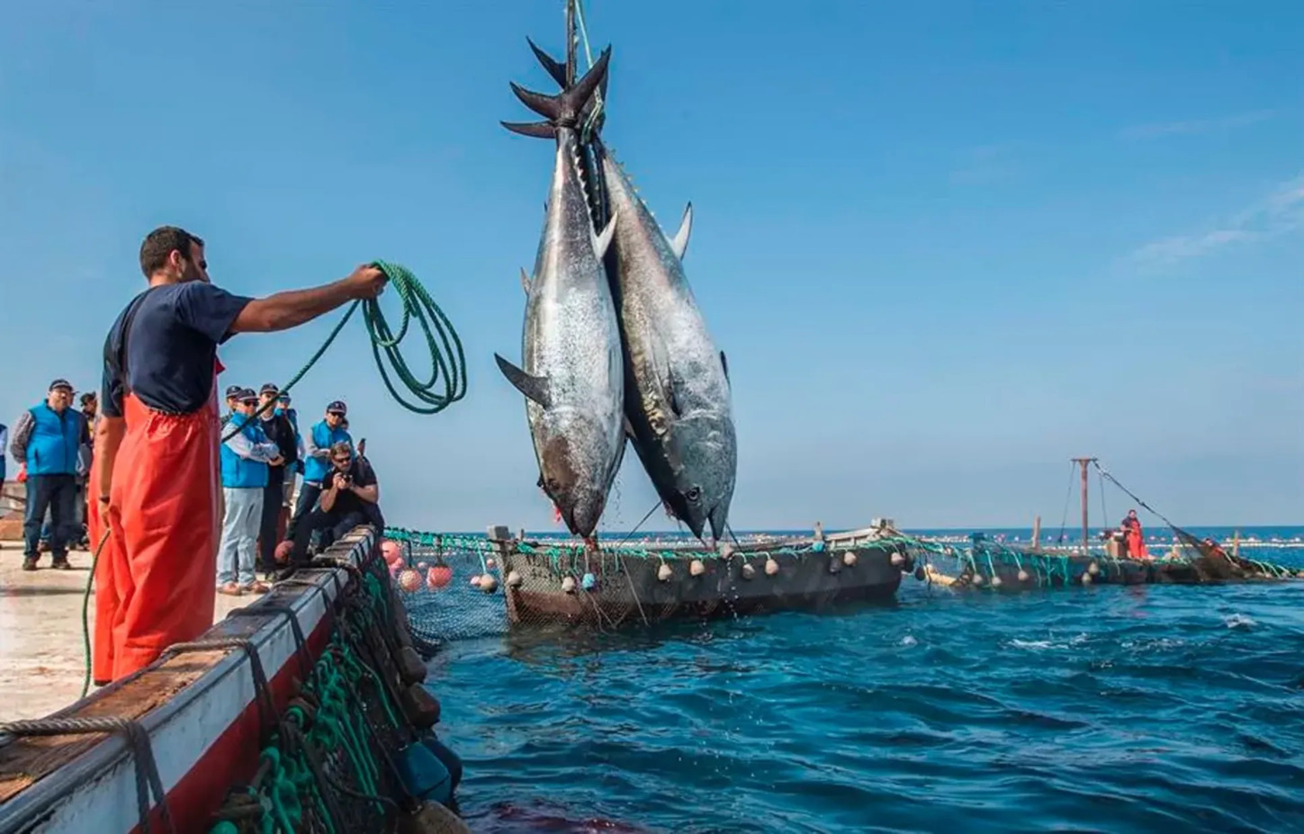 Vivencias agrícolas y ganaderas